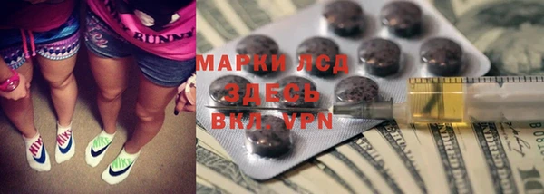 ПСИЛОЦИБИНОВЫЕ ГРИБЫ Алзамай