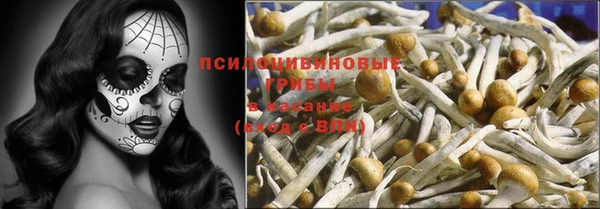 мдпв Алексин