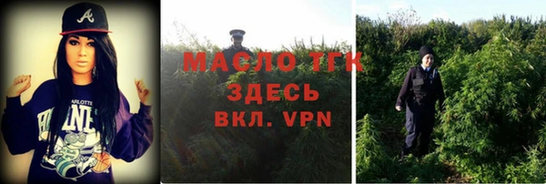 ПСИЛОЦИБИНОВЫЕ ГРИБЫ Алзамай