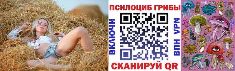 OMG онион  Аша  Галлюциногенные грибы Psilocybine cubensis 