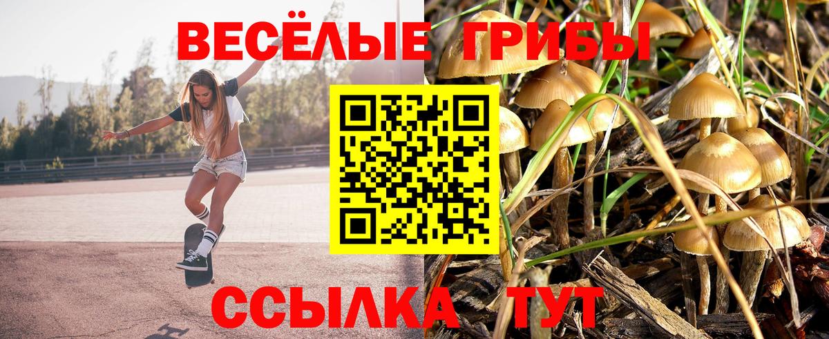 Псилоцибиновые грибы Cubensis  Вход с VPN  Аша  Псилоцибиновые грибы прущие грибы 