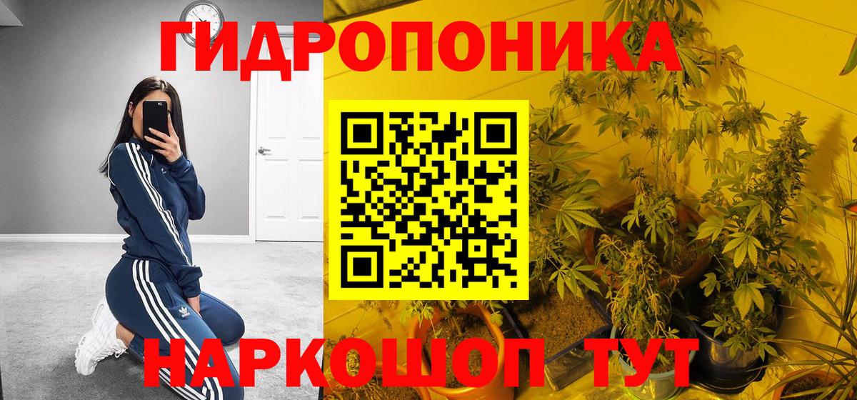 Аша  Каннабис White Widow  Вход с VPN  МАРИХУАНА White Widow 